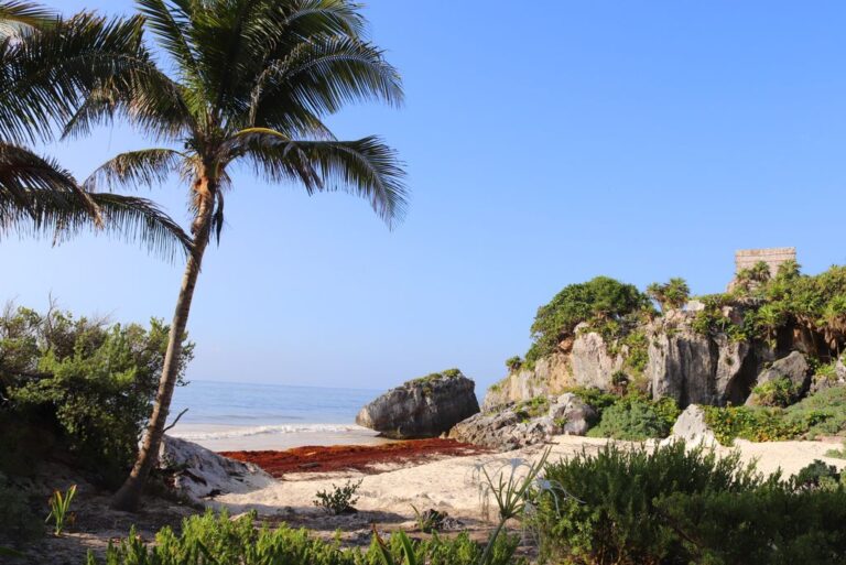 Playa Punta Negra